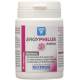 NUTERGIA ERGYPHILUS INTIMA 60 CAPS
